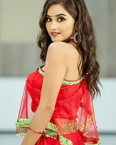 Escort In Gobichettipalayam